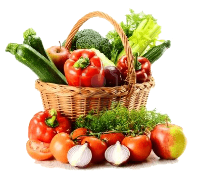 Fresh Organic Vegetables